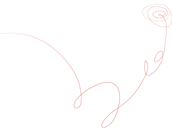 rose ligne graphique trait rose saumon Le Tremplin d'Or Catherine Elia